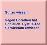 Kasten rosa, cystus