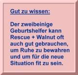 kasten rosa, geburtshelfer