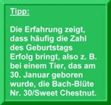 BC 5, lacht