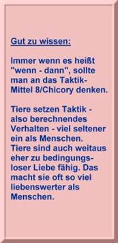 Cover Bach 2