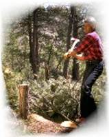 holzfller